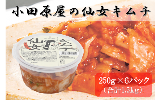 小田原屋の仙女キムチ 250g×6パック（合計1.5kg）