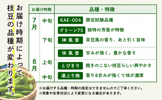 【8/9再受付スタート！】令和6年産 枝豆 3kg 訳あり （B品）