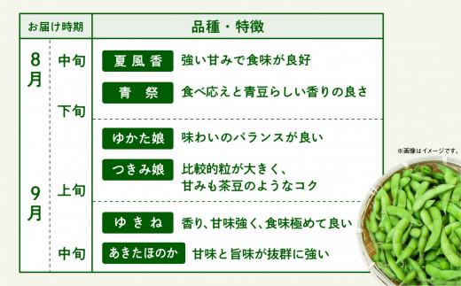 【8/9再受付スタート！】令和6年産 枝豆 3kg 訳あり （B品）