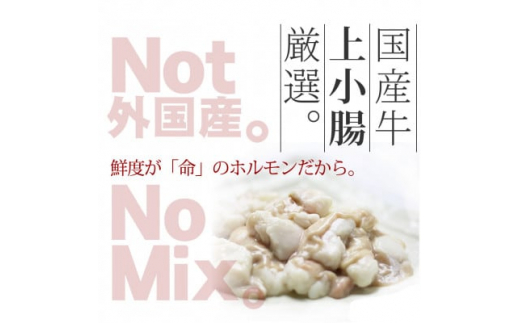 国産牛もつ1kgオーバー!味噌もつ鍋　10人前[牛もつ1.05kg/味噌スープ付](水巻町)【1445329】