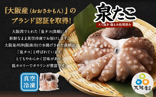 大阪産 泉タコ （生たこ）  計1.3kg 650g（1～3杯）×2袋 魚介類 海鮮 タコ 冷凍