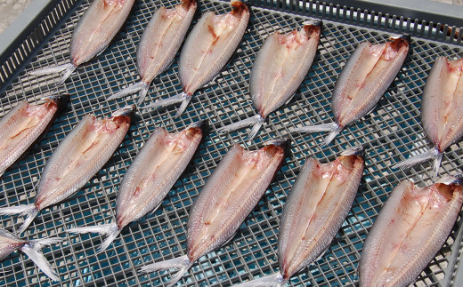 山陰のアゴ(飛魚)開き干し　10枚入り【1446258】