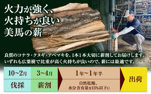 乾燥薪 約20kg 薪倉庫 長さ：35~40cm程度《90日以内に出荷予定(土日祝除く)》薪 コナラ クヌギ アベマキ 徳島県 美馬市 アウトドア キャンプ 焚火 暖炉 薪ストーブ