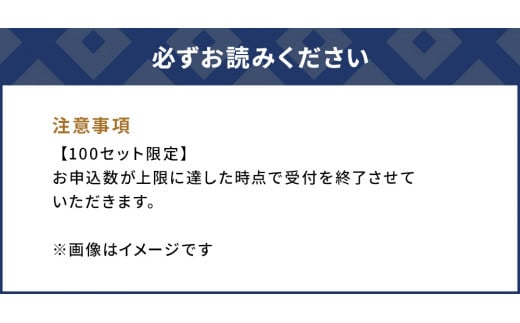 〈ふるさと納税限定品〉専用ボトルで除菌・消臭に 微酸性電解水 ジアサニター 除菌消臭スプレー ウイルス対策グッズ 大分県産 九州産 津久見市 国産