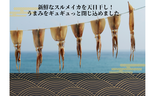 【四国一小さなまち】《カネアリ水産》 イカの一日干し３枚 スルメイカ イカ 一日干し 干物 加工食品 BBQ 肉厚 海鮮 うまみ おつまみ 酒のお供 冷凍