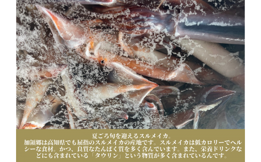 【四国一小さなまち】《カネアリ水産》 イカの一日干し３枚 スルメイカ イカ 一日干し 干物 加工食品 BBQ 肉厚 海鮮 うまみ おつまみ 酒のお供 冷凍