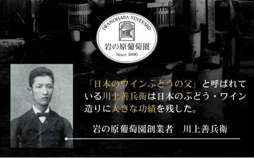 酒 岩の原ワイン1本（720ml） 有機栽培ぶどう使用 マスカット ・ ベーリーA ワイン 赤 ギフト 新潟 上越