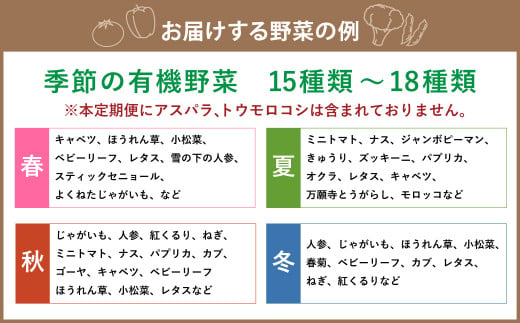 【12ヶ月定期便】有機JAS認定 季節の野菜 詰め合わせ～有機野菜セットB～