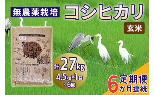 新米 [定期便／6ヶ月] 無農薬栽培 コシヒカリ《玄米》計27kg (4.5kg×6ヶ月連続)｜おいしい お米 コメ こめ ご飯 ごはん 白米 玄米 お取り寄せ 直送 贈り物 贈答品 ふるさと納税 埼玉 杉戸 [0569]