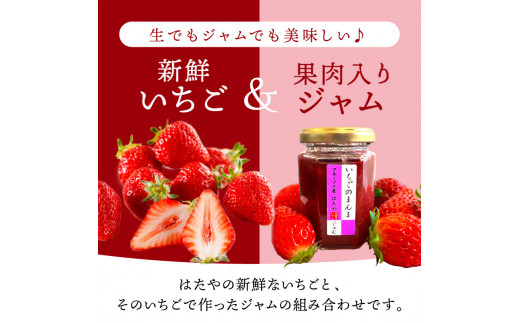 ★先行予約★はたやの新鮮いちご＆果肉入りジャムのセット[12月下旬より順次発送]《 ふるさと納税いちご イチゴ 苺 フルーツ工房はたや 高級 フルーツ ジャム 送料無料 》【2401C09702】