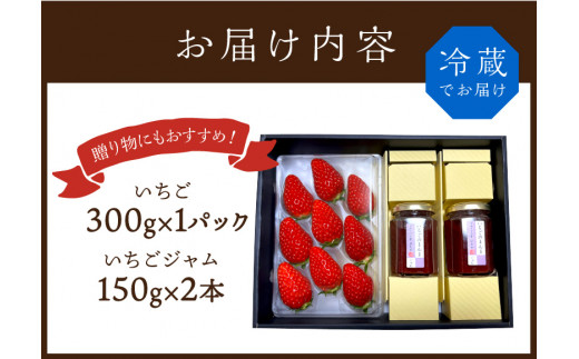 ★先行予約★はたやの新鮮いちご＆果肉入りジャムのセット[12月下旬より順次発送]《 ふるさと納税いちご イチゴ 苺 フルーツ工房はたや 高級 フルーツ ジャム 送料無料 》【2401C09702】