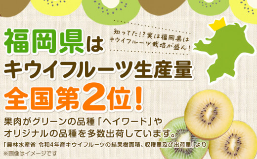 甘うぃ 約3.6kg 20～30玉前後《10月中旬-11月末頃出荷》福岡県 鞍手郡 鞍手町 キウイフルーツ キウイ 福岡県オリジナル 新品種 甘うぃ 果物 くだもの フルーツ