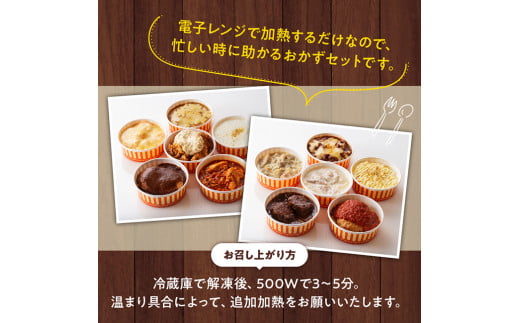 洋食屋さんのおかず 衝撃の12種セット ハンバーグ ドリア グラタン シチュー カレー チキン 鶏肉 レンチン おかず