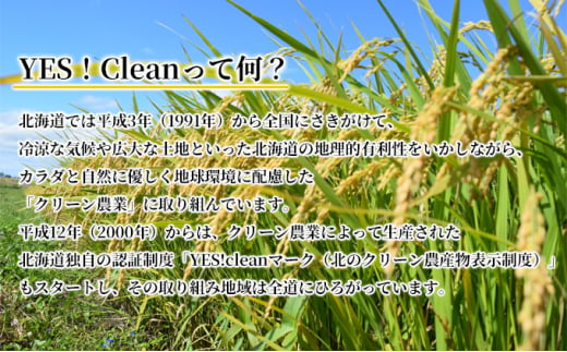 北海道 イエスクリーン米 令和6年産 ななつぼし 10kg 精米 米 白米 お米 新米 ごはん ご飯 ライス 道産米 ブランド米 新しのつ米 ふっくら 食味ランキング  産地直送 カワサキ森田屋 送料無料