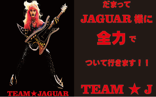 【12203-0035】JAGUAR　グッズのセット（TシャツL）