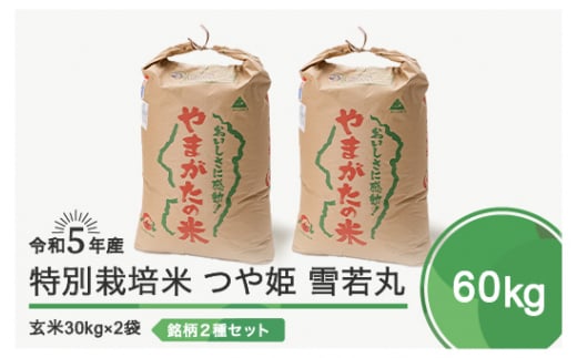 令和6年5月上旬発送 つや姫 雪若丸 各30kg 計60kg 玄米  令和5年産