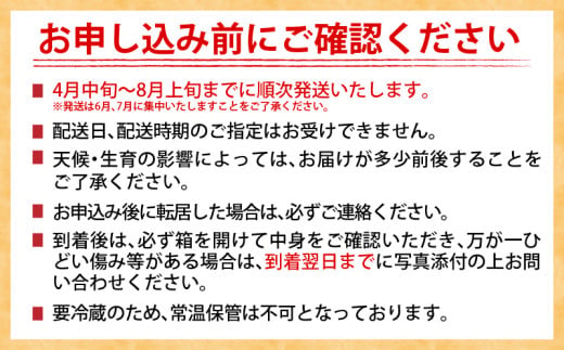 リピーター続出!!数量限定 日南市産 完熟 マンゴー 2L以上×9玉 フルーツ 果物 果汁 希少 濃厚 ジューシー 贅沢 上質 ご褒美 人気 国産 食品 おやつ デザート 産地直送 おすすめ ギフト プレゼント 贈り物 お土産 手土産 南国 宮崎県 送料無料_IB1-24