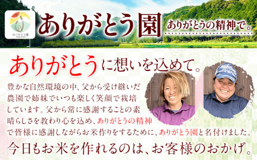 ひのきキューブ 5個 ヒノキ 桧 ウッド 木製 手作り ありがとう園《30日以内に出荷予定(土日祝除く)》岡山県 矢掛町 香り リラックス エコ 送料無料