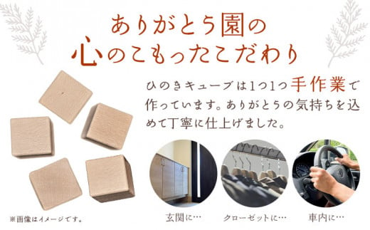 ひのきキューブ 5個 ヒノキ 桧 ウッド 木製 手作り ありがとう園《30日以内に出荷予定(土日祝除く)》岡山県 矢掛町 香り リラックス エコ 送料無料