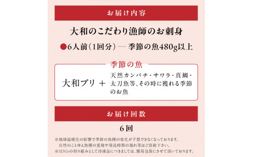 【6ヶ月定期便】大和のこだわり漁師のお刺身6人前 N072-YE080_1