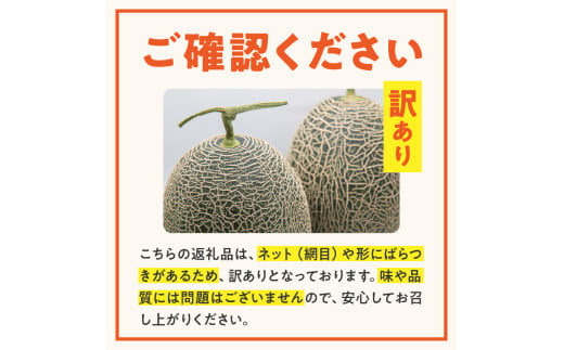 専用訳ありアールスメロン！北海道東北各県沖縄発送不可 （113-3
