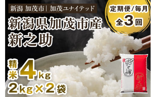 【令和6年産新米先行予約】【定期便3ヶ月毎月お届け】新潟県産 新之助 精米 4kg（2kg×2袋） 新潟 ブランド米 加茂市 加茂ユナイテッド