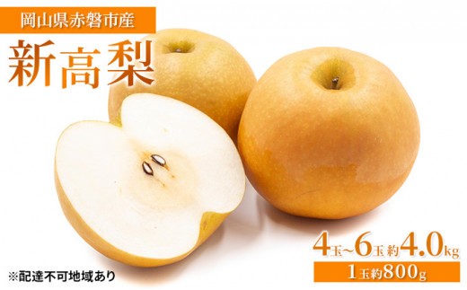 梨 2024年 先行予約 新高梨 4玉～6玉 約4.0kg（1玉約800g）岡山県赤磐市産【配達不可：離島】 なし フルーツ 果物