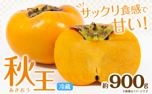 秋王 約900g《11月上旬-11月末頃出荷》福岡県 鞍手郡 鞍手町 柿 かき カキ 種なし 種無し 福岡県産 果物 くだもの フルーツ