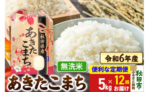 《定期便12ヶ月》 あきたこまち 5kg 令和6年産 新米 【無洗米】秋田県産