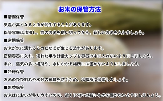 知多米 こしひかり 5kg 米 コシヒカリ 愛知  知多 特産品 南知多