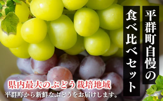 【先行予約】平群の ぶどう （ 巨峰・ピオーネ等 ）  ＆ シャインマスカット 各2房 計4房 約2kg | フルーツ ぶどう 葡萄 ブドウ 巨峰 ピオーネ シャイン マスカット 奈良県 平群町