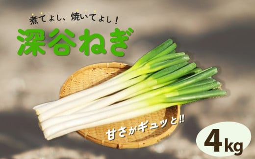 ＜先行受付＞煮てよし、焼いてよし！甘さがギュッと！深谷ねぎ　4kg　【11218-0240】