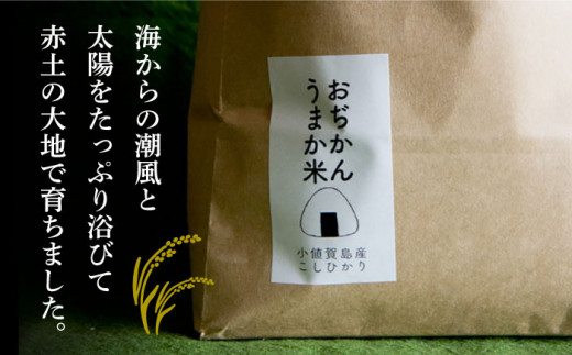 【全3回定期便】【令和6年度産】おぢかんうまか米（小値賀町産こしひかり 5kg ・精白米） [DAB015] コシヒカリ こしひかり 米 お米 白米 ご飯 精米 お弁当  常温