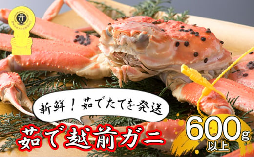 【年明け出荷】茹で越前ガニ【期間限定】食通もうなる本場の味をぜひ、ご堪能ください。約600g以上×1杯 越前がに 越前かに 越前カニ ずわいがに ズワイガニ 蟹 かに カニ ボイルガニ[№5580-0911]