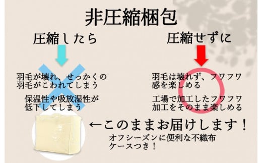 羽毛布団 シングル 秋用 選べる5カラー(グリーン) 羽毛肌掛け布団 秋冬用 軽量 0.8kg入り 350dp以上 ダウン90％ 羽毛掛け布団 無地 抗菌 消臭 羽毛掛布団 羽毛 掛け布団 布団 日本製 プレゼント おすすめ 3年保証 お部屋に馴染む北欧デザイン 掛け布団 肌掛け布団 羽毛布団 シングル布団 ふとん 布団 寝具 羽毛 布団 羽毛布団 寝具 掛け布団 掛布団 寝具 布団 秋 冬