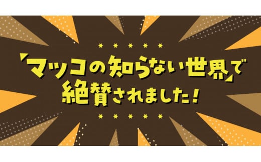 宮崎ひでじビール定番と栗黒8本セット N073-YZA930