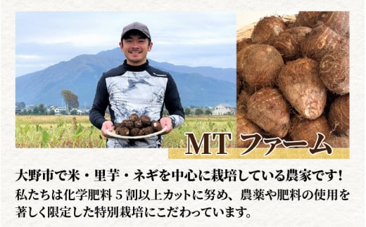 【先行予約】【12月20日までのご寄付で年内お届け】越前大野産 里芋 4.5kg 化学肥料5割以上カット・農薬7割カットの特別栽培 