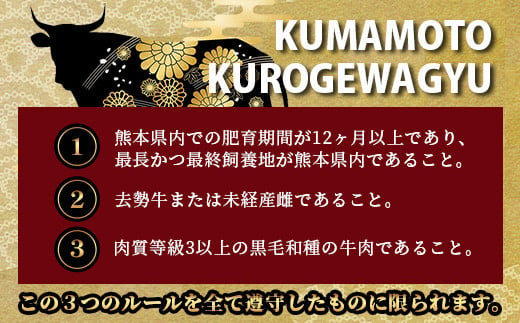 【定期便6回】A4・A5 くまもと黒毛和牛 ロース セット 計600g