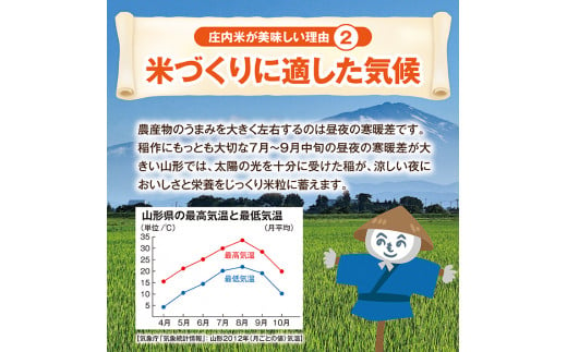 SB0559　令和6年産【精米】庄内産 はえぬき　10kg(5kg×2袋) JM