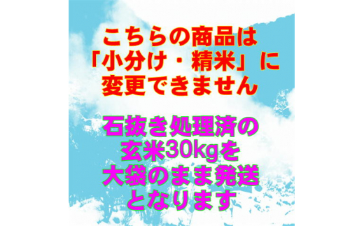 二瓶商店の会津若松市産 ひとめぼれ 玄米 30kg｜新米 令和6年 2024年 会津産 米 お米 こめ 玄米 [0781]