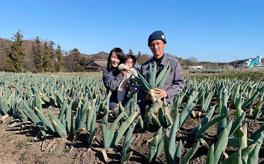 伝統栽培の下仁田ねぎ。寒い冬に最高のすき焼きを♪（L 18本） とろける 甘い ねぎ ネギ 王様ねぎ 殿様ねぎ 特産 栄養たっぷり ブランド 上州ねぎ すきやき F21K-333