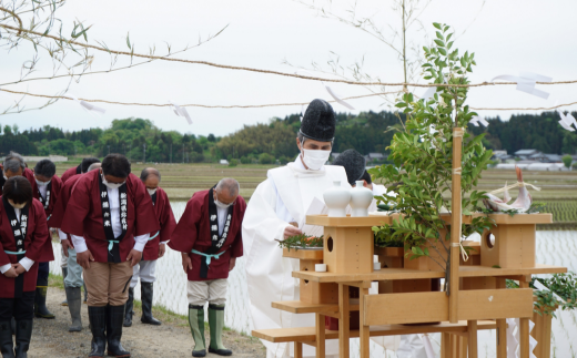 5月上旬。お田植えまつり。農作業の安全と農産物の豊作を祈願します。彌彦神社神官によるお祓い、祝詞奏上を行います。