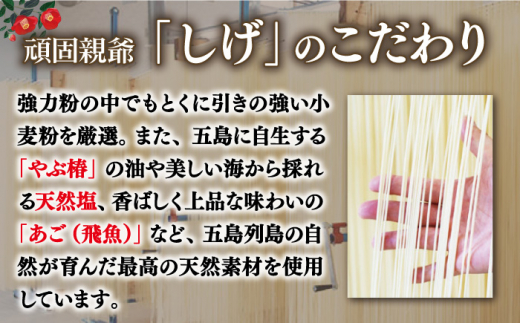 五島手延べうどん 詰め合わせ Aセット 乾麺 五島うどん ふし麺 飛魚だし 贈答 ギフト 新上五島町