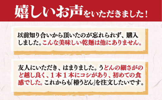 五島手延べうどん 詰め合わせ Aセット 乾麺 五島うどん ふし麺 飛魚だし 贈答 ギフト 新上五島町