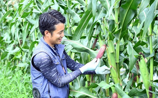 京の丹波 野村家の挑戦は続きます。