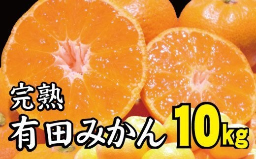 【2022年冬頃発送予約分】＼光センサー選別／ 【農家直送】完熟有田みかん 約10kg  有機質肥料100%　 サイズ混合　※2022年12月上旬～2023年1月下旬に順次発送予定（お届け日指定不可）【nuk117】