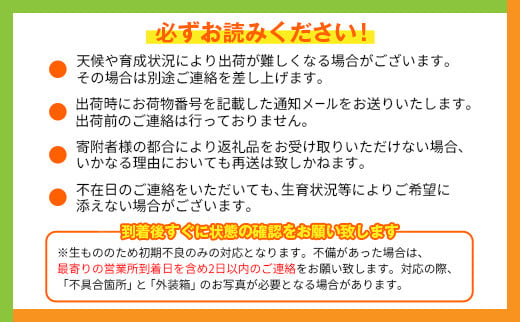 [定期便全3回] 宮崎完熟マンゴー 4Lサイズ 合計6玉 特産 国産 果物 フルーツ 旬 産地直送 大玉【F142】