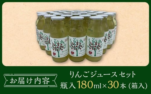 りんご ジュース セット 30本 × 180ml 大町産