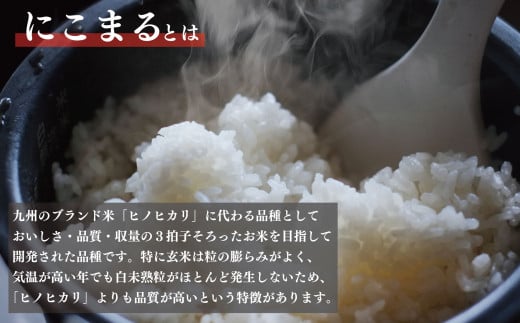  玄米 5kg にこまる お米 栽培期間中農薬不使用 安心 安全 こだわり栽培 ビタミン ミネラル 食物繊維 豊富 おにぎり お弁当 ブランド米 徳島県 阿波市 米笑