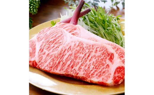 ＜ギフト＞鹿児島県産A5等級黒毛和牛サーロインステーキ 2枚(400g) B3-33_ 肉 お肉 牛肉 サーロイン ステーキ プレゼント 贈り物 人気 送料無料 【1166296】